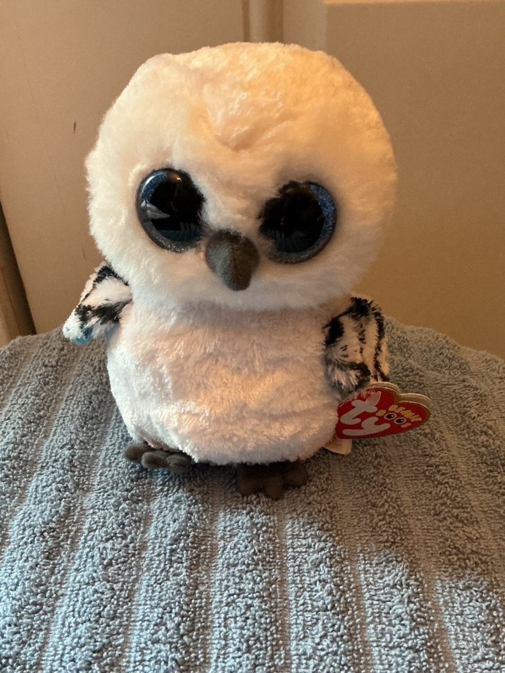 TY Beanie Boos Spells The Owl White Plush  6"